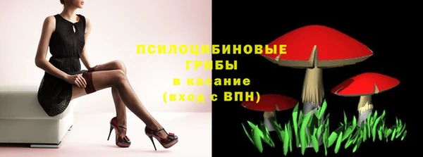 мдпв Кинешма
