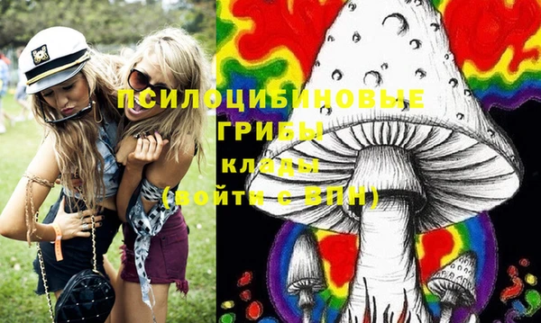 мдпв Кинешма