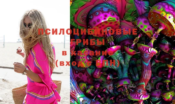 мдпв Кинешма