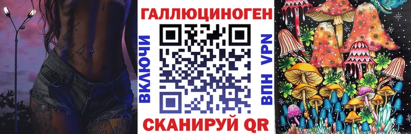 Купить где  Ивдель  Галлюциногенные грибы Psilocybe 
